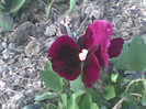 23042012(006)