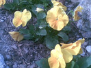 23042012(009)