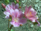30042012(003)