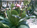 30042012(004)