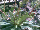 30042012(005)