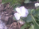 23042012(005)