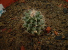 P1010239