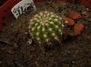 P1010241