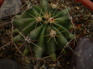 P1010284