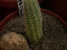 P1010292