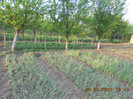 DSCN2707
