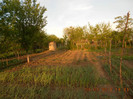 DSCN2708
