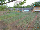 DSCN2797