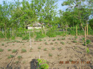 DSCN2894