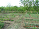 DSCN2931