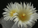 DSC00083