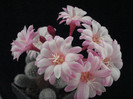 DSC00020
