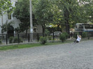 DSCN3084