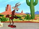 Road Runner and Wile E Coyote