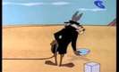 Road Runner and Wile E Coyote