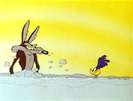 Road Runner and Wile E Coyote