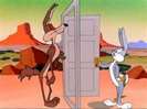 Road Runner and Wile E Coyote