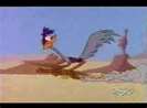 Road Runner and Wile E Coyote