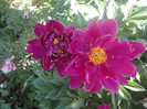 DSC04675