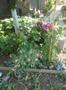 DSC04676