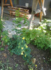 DSC04677