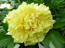 DSCN0293