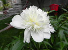 DSCN0297