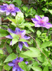 DSCN0304