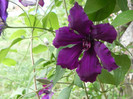 DSCN0306