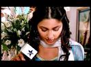 Next set in Love [194]