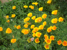 DSCN2594