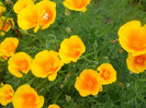 DSCN2596