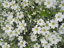 DSCN2599
