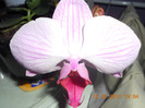 DSCN0920