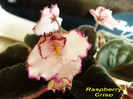 Raspberry Crisp (16-05-2012)