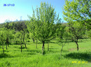 DSC04619
