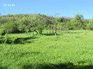 DSC04624