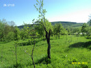 DSC04625
