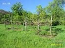 DSC04629