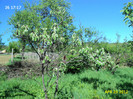 DSC04631