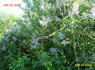 DSC04636