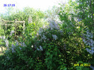 DSC04637