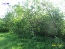 DSC04698