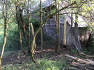 DSC04706