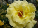 DSC05068