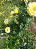 DSC05074