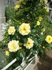 DSC05075