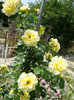 DSC05076