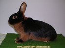 17%20Loh%20Schwarz%201_0%205_7_25